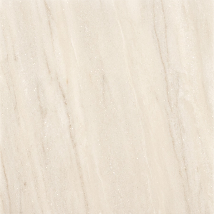 Quartzite countertop surface